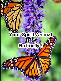 Your spirit animal is a butterfly! butterfly